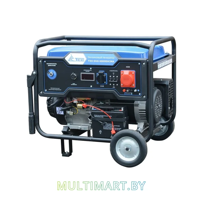 Бензиновый генератор ТСС SGG 6000EH3NA